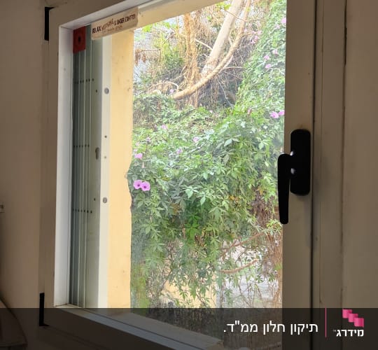 חלון עם נוף חיצוני ופרחים סגולים
